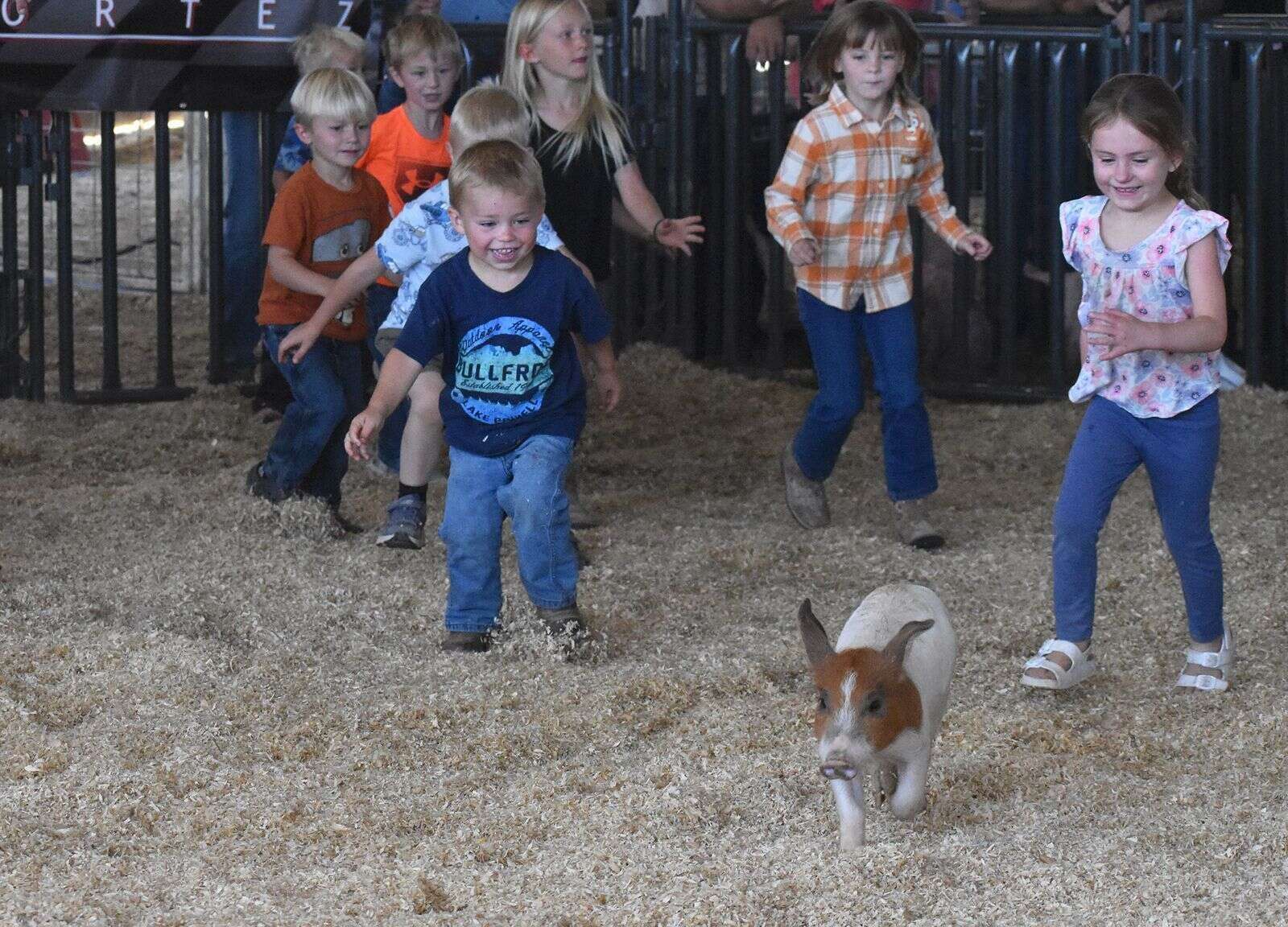 2026 Montezuma County Fair set to begin next weekend, horse show kicks off this Saturday - Durango Herald