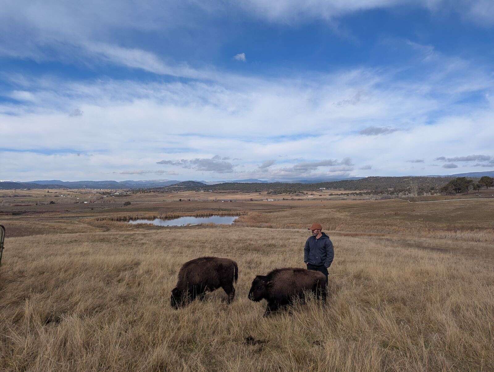La Plata County Farm Bureau president wants people to know where their food comes from - Durango Herald